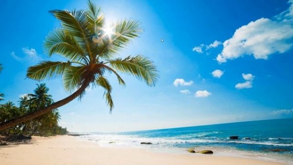 Как узнать частоту обновление экрана монитора в Windows 11