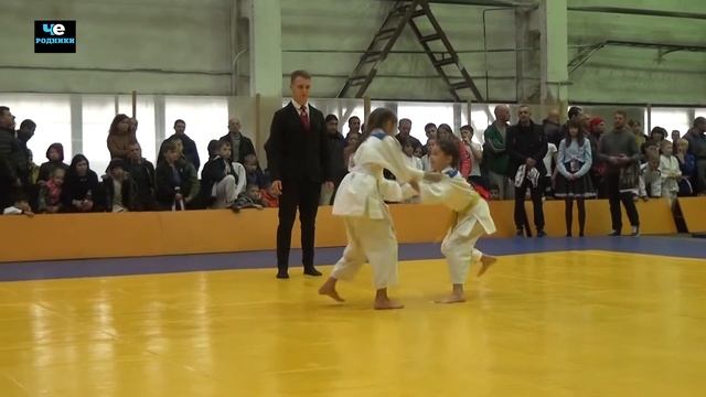 Турнир по дзюдо смотреть онлайн