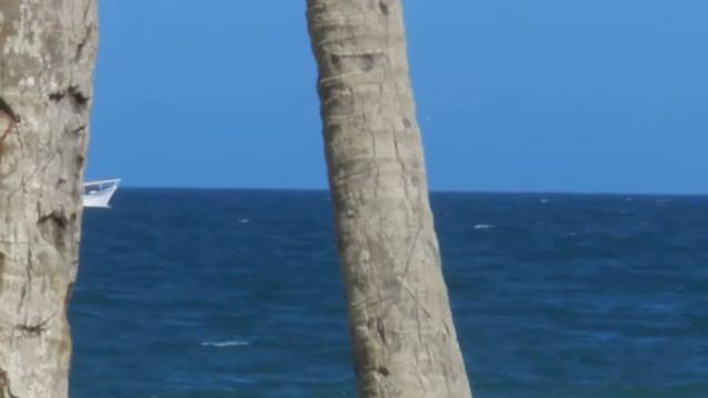 Playa El Agua-Isla De Margarita