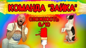 Как научить собаку команде «Зайка»?