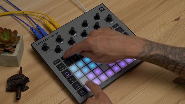 Circuit Rhythm - Keyboard Note Mode // Novation смотреть онлайн