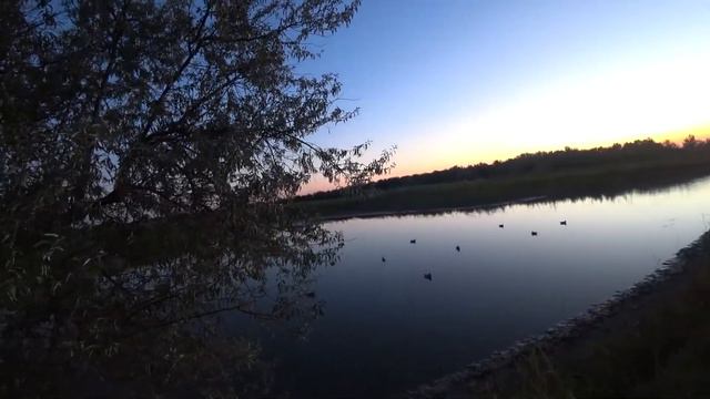 ОХОТА НА ВОДОПЛАВАЮЩУЮ В ОКТЯБРЕ. уххххх какая смотреть онлайн