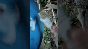 Течет гидроаккумулятор. Проверка герметичности. Замена груши.