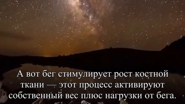 Ученые узнали, что нужно есть перед тренировками — Статья смотреть онлайн