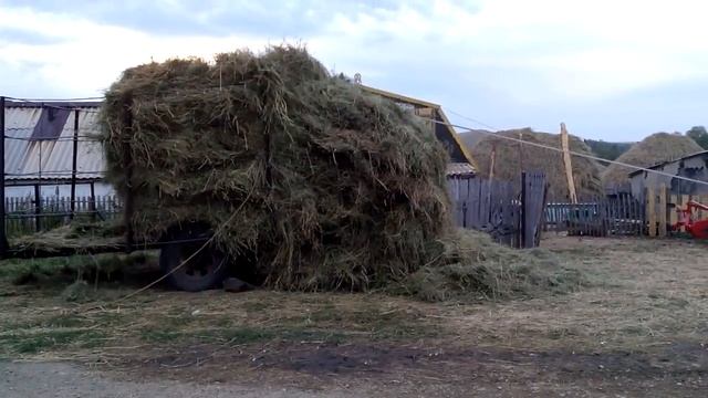 Разгрузка сена смотреть онлайн