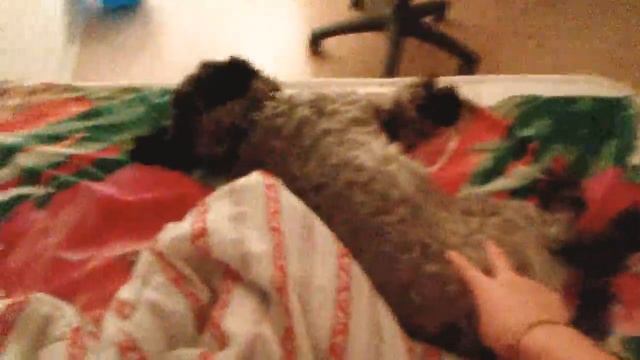 Когда тебя кто-то трогает во сне