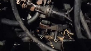 Громкая работа Citroen Jumpy (Ситроен Джампи) поиск плохого угла впрыска