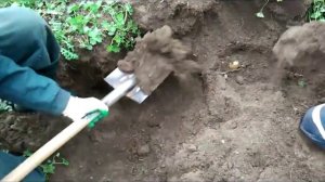 Высокие грядки выращивание картофеля (Часть4) Уборка урожая
