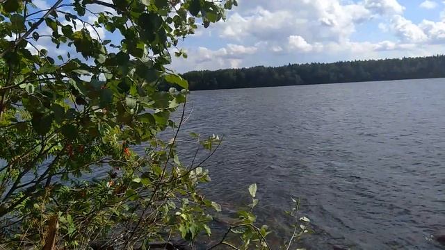 река Свирь смотреть онлайн