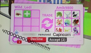 исполнила еще одну свою мечту