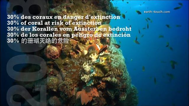 Coral Reefs & Climate Change смотреть онлайн