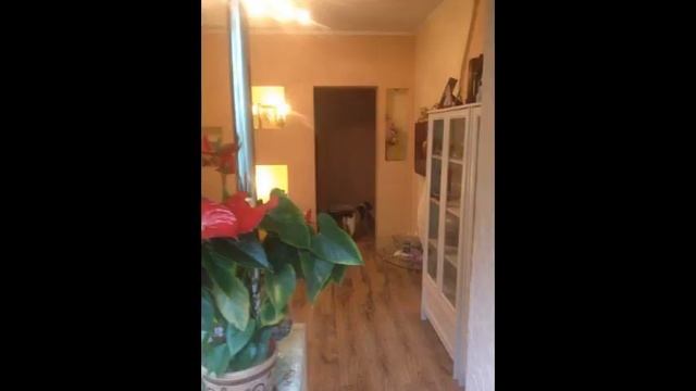 Отличная квартира на Бела Куна смотреть онлайн