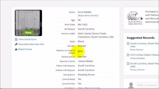 Documentation We Aint African Movement Dane Calloway exposed смотреть онлайн