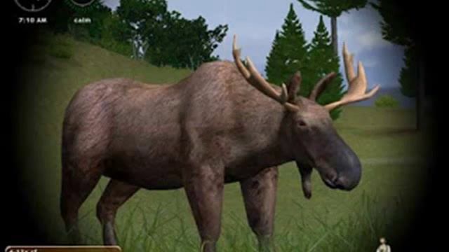3D Hunting 2010 PC смотреть онлайн