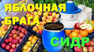 ПЕРЕРАБОТКА ЯБЛОК НА СИДР И САМОГОН. БРАГА ИЗ ЯБЛОК