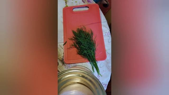 Делай То, Что Совершенствует