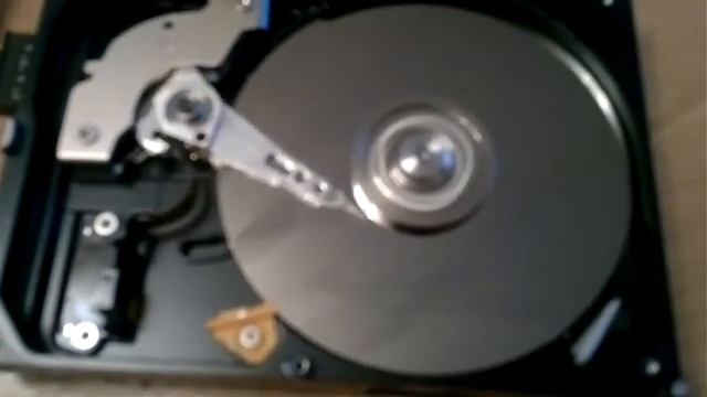 HDD WD Blue 320Гб неисправность смотреть онлайн