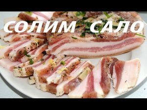 Как солить сало в рассоле.