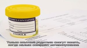 Суточный анализ мочи