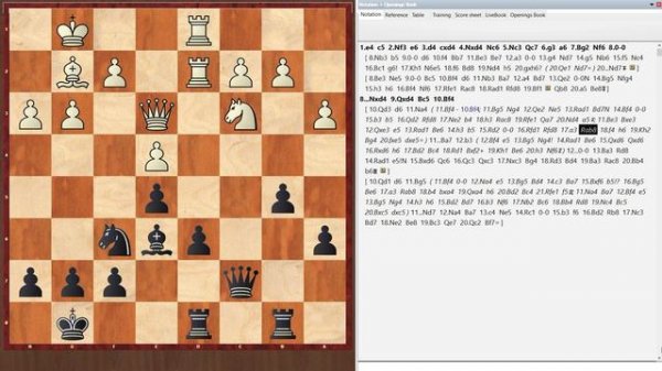 Сицилианская Защита. Вариант Тайманова За Чёрных, 6.g3 [Вариант С Развитием Слона На g2] Видео 1