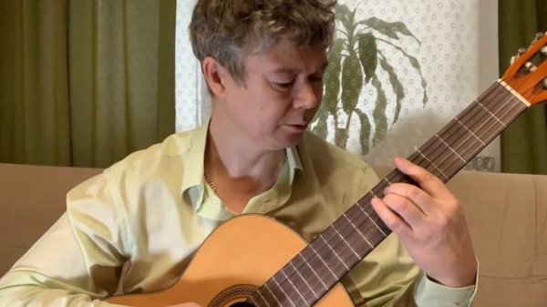 Обзор гитар Hohner HC06 и Flight c100