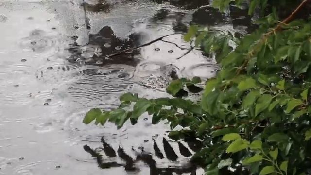 Моцарт Музыка дождя Mozart Music of the Rain.super melodiya смотреть онлайн