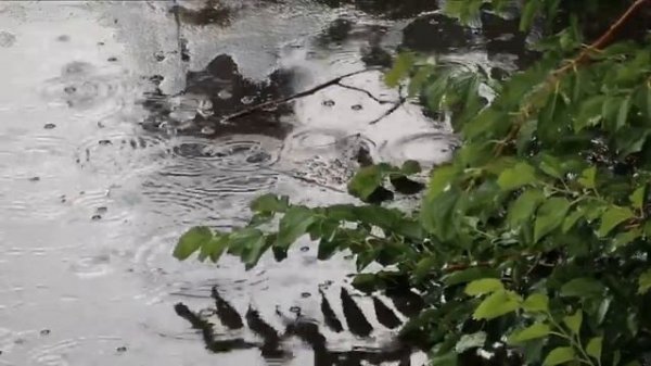 Моцарт Музыка дождя Mozart Music of the Rain.super melodiya