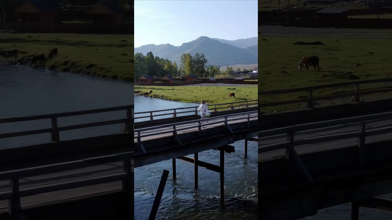 Один из многочисленных мостов Алтая⛰️ #алтай #россия смотреть онлайн