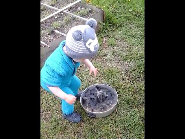 Ротан, интересная рыба смотреть онлайн