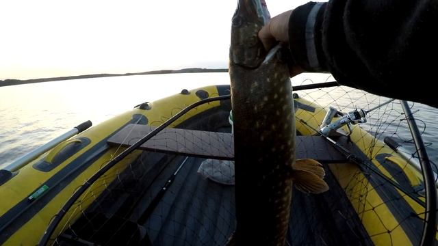 Пока семья спит в домике! Ночная рыбалка на щуку! Белые ночи Северная Карелия! смотреть онлайн