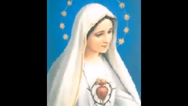 Ave Maria di Caccini VINCENZO TORIELLO смотреть онлайн