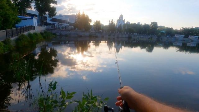 Рыбалка на спиннинг на городском пруду в конце июля смотреть онлайн