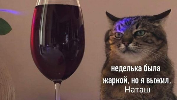 Starry Nights Montale + парфюмерная болталка