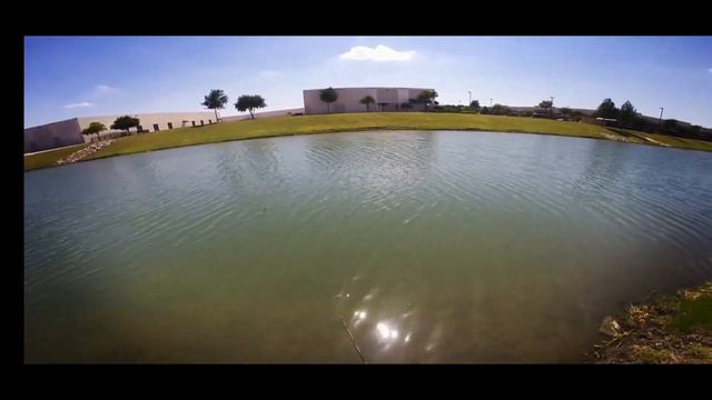 Увлекательная ловля карпа на нахлыст смотреть онлайн