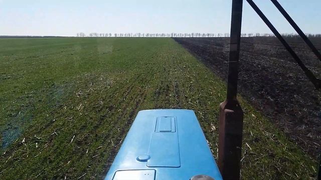 Внесення мінеральних добрив. Пшениця + ячмінь озимий . смотреть онлайн