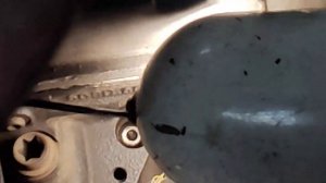 форд транзит Коннект, (FORD) ставим правильно топливные  форсунки, (подготовка)