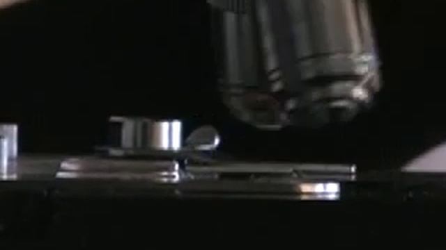 Focusing a compound microscope смотреть онлайн