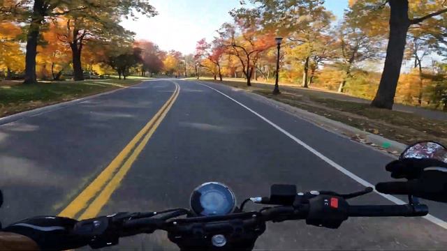 Beautiful Fall Ride in Minneapolis-St. Paul - Svartpilen 401 смотреть онлайн