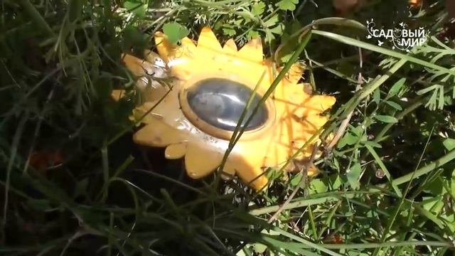 Как избавиться от кротов и мышей Ультразвуковые отпугиватели смотреть онлайн