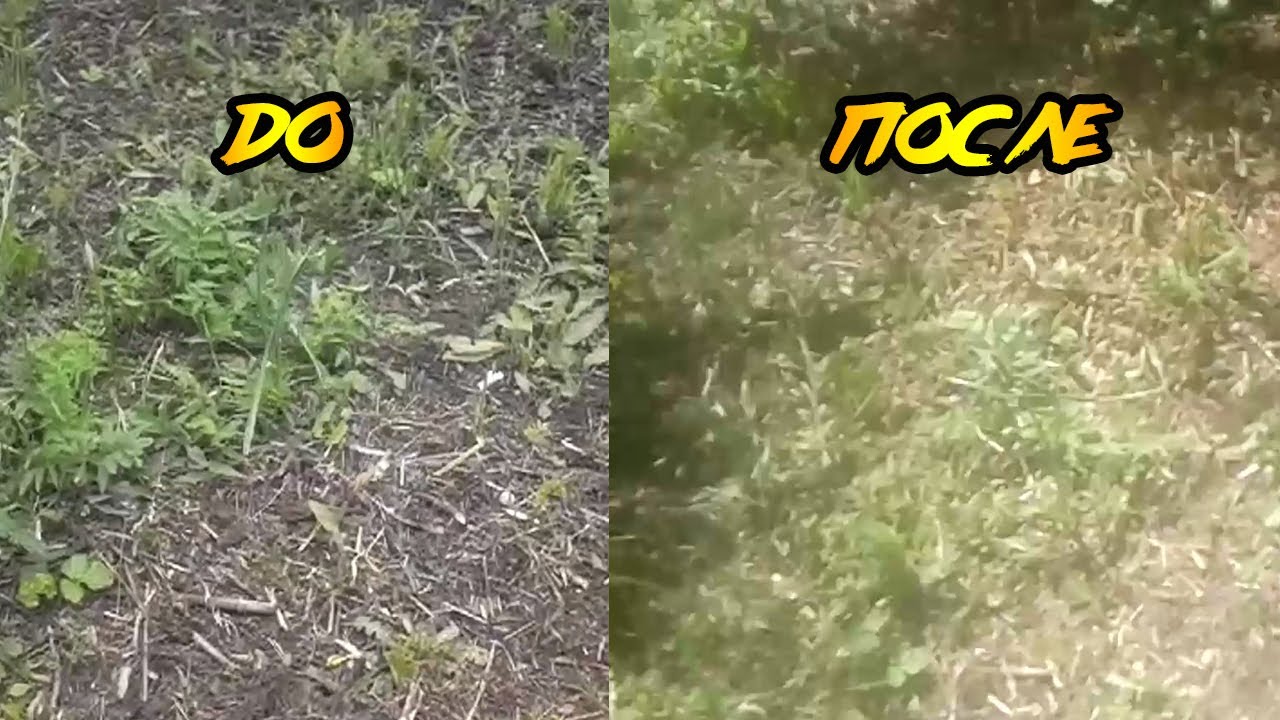 Эксперимент уксус и вода. Как избавиться от сорняка.mp4