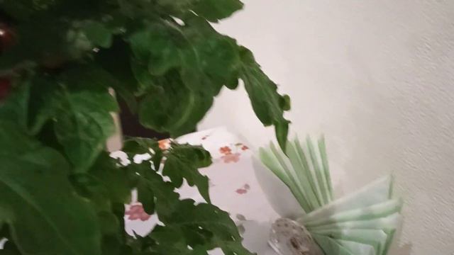 Урожай на подоконнике смотреть онлайн