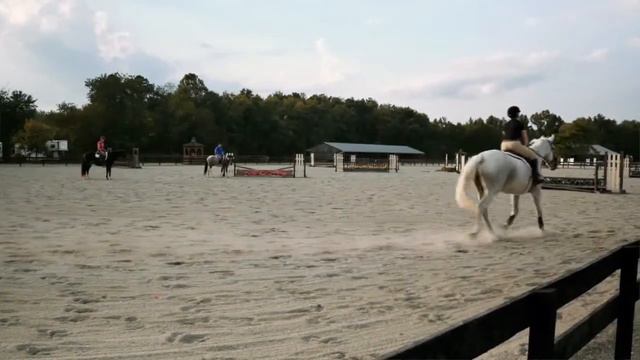 Лошади и всадники. Horses And Riders