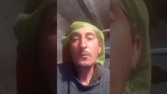 частушки новогодние из интернета смотреть онлайн