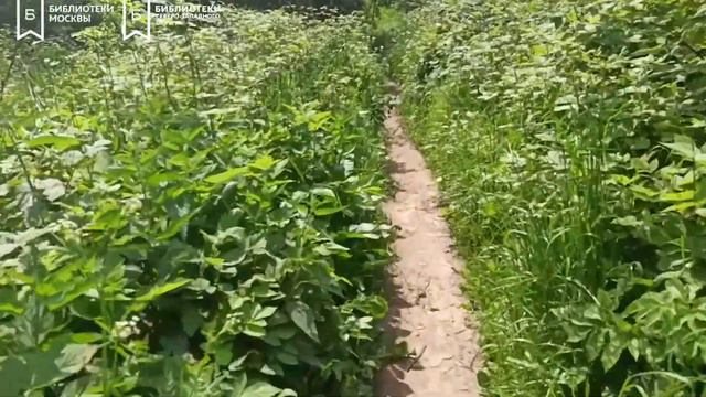 Пешеходная прогулка "Сходненский ковш" смотреть онлайн