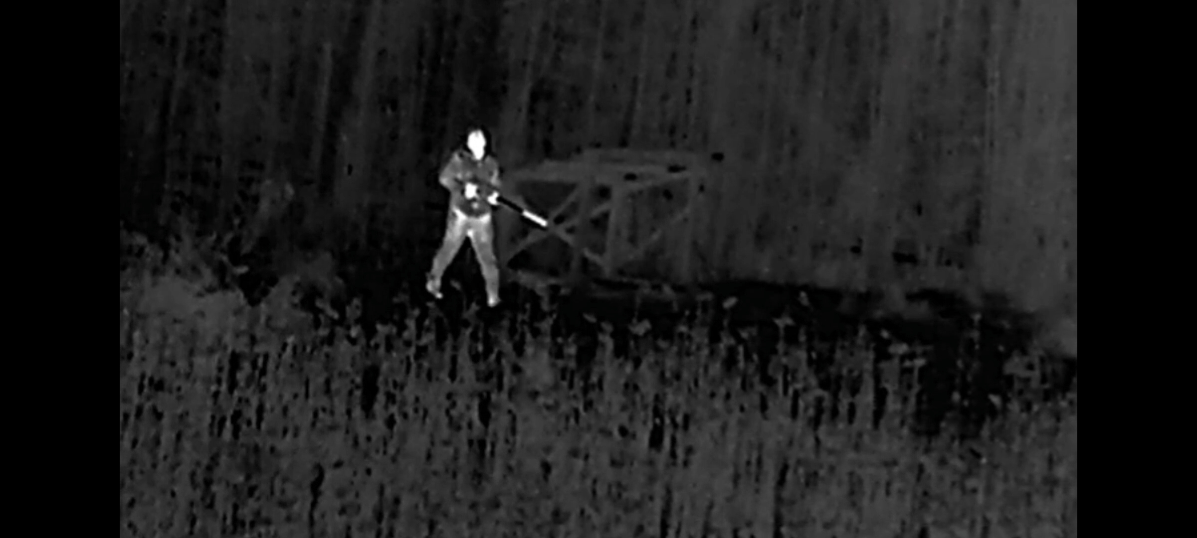 Три семьи. Секач. Лоси.mp4 смотреть онлайн