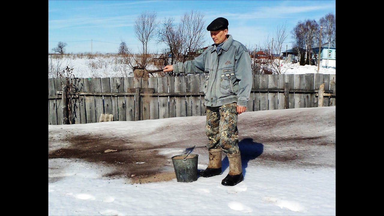 Я посыпаю снег золой, готовлю место для выставления пчёл из зимовки смотреть онлайн