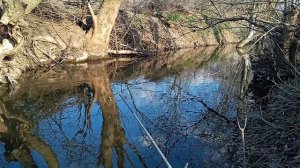 ЛОВЛЯ ГОЛОВЛЯ