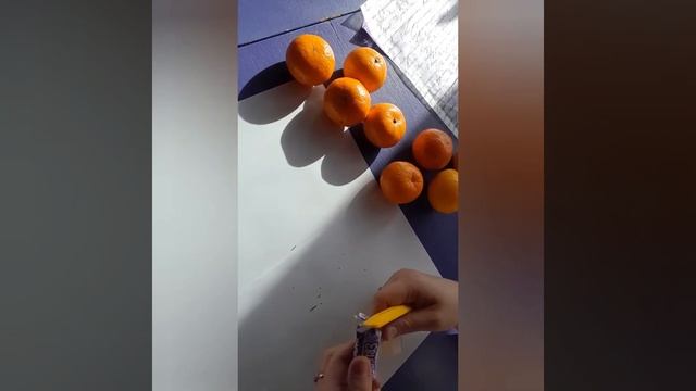 МК Фруктовый букет смотреть онлайн