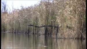 По рекам юга России