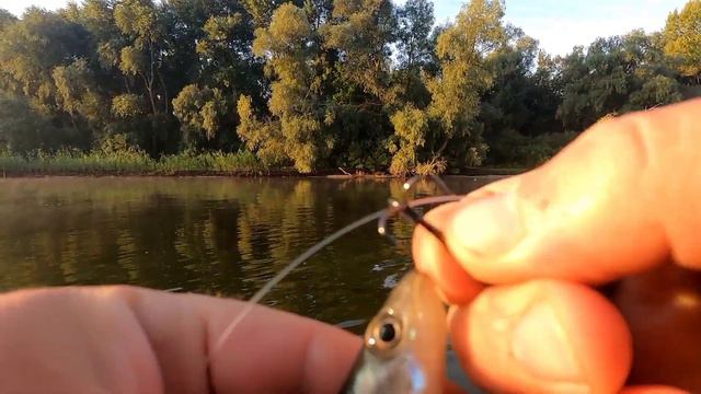 Ловля хищника в с.Сокирна & с.Елизаветовка.Отдых-СУПЕР!!!! смотреть онлайн